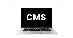 WordPress CMS Wie funktioniert ein CMS - img
