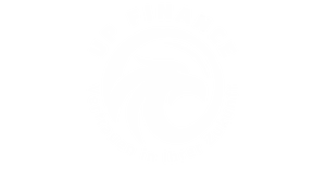 UPFinance - logo