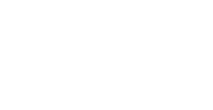 Desi Finance - logo img