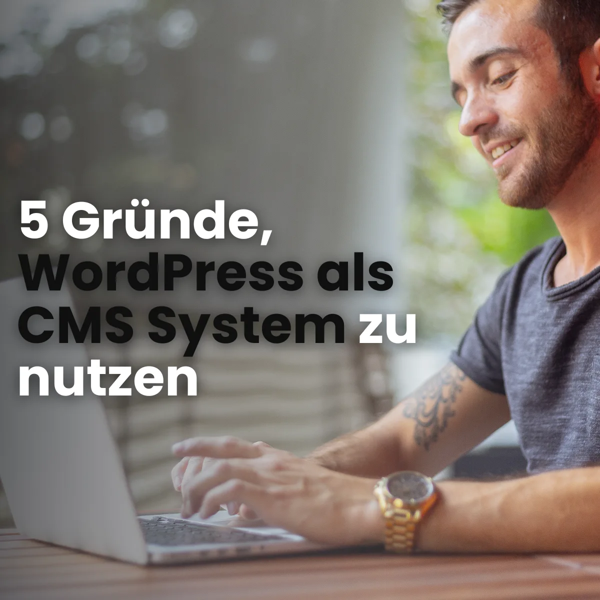 WordPress-Dashboard mit Bausteinen für Plugins, Themes, Benutzerrollen, Medien und Mehrsprachigkeit, daneben der Titel „Top 5 Funktionen des WordPress CMS“.